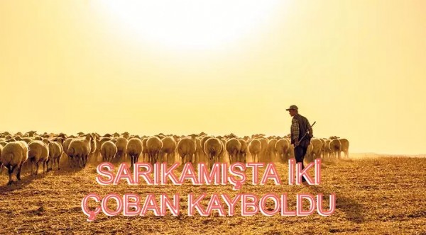 Sarıkamış'ta Kardeş olan iki çoban  kayboldu