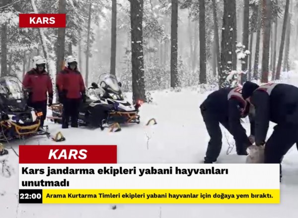 Kars jandarma ekipleri yabani hayvanları unutmadı